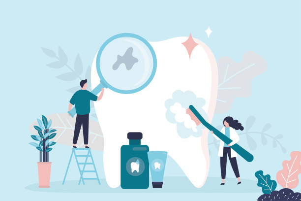  North Fort Myers, FL Holistic Dental Services Pros